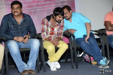 Ee Varsham Sakshiga Movie Platinum Disc Function